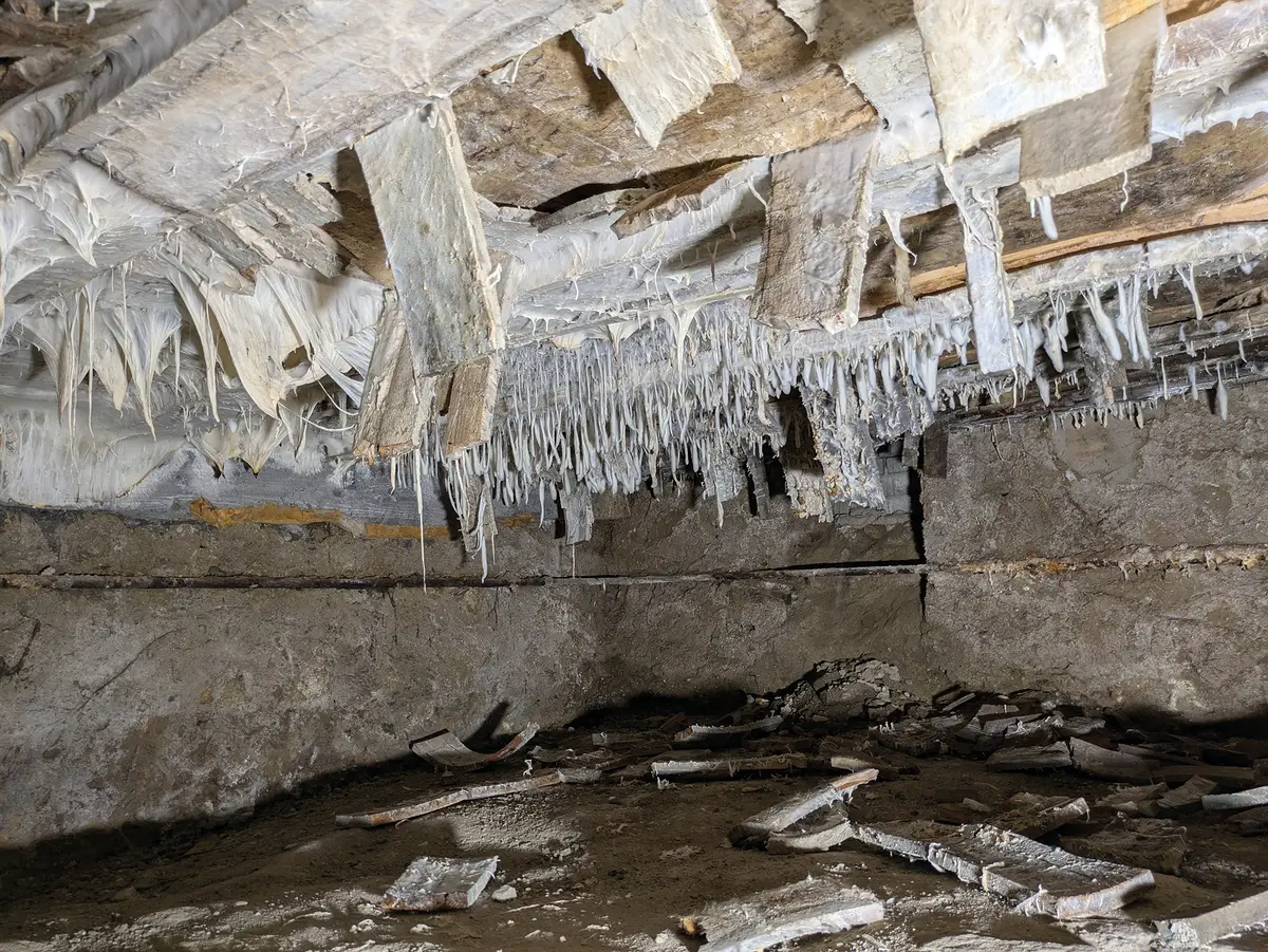 Feuchtebedingte Auffälligkeit an einer Holzbalkendecke im Bestand